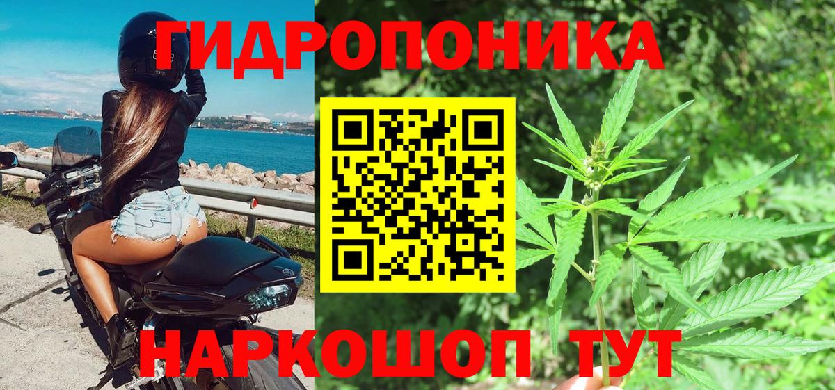 Каннабис LSD WEED  Канабис семена  Барабинск  Конопля сатива  Вход с VPN  Конопля LSD WEED 
